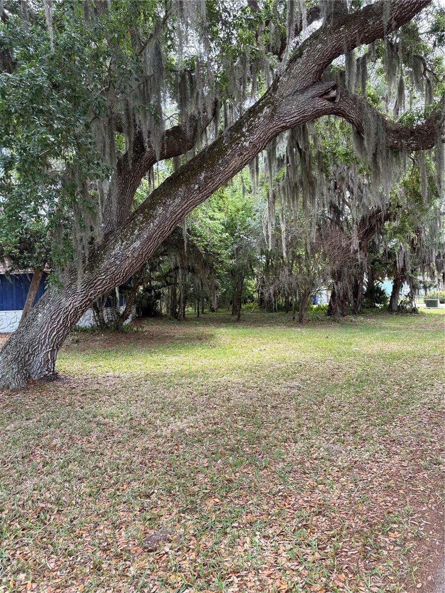 2203 LIME TREE DR, EDGEWATER, FL, 32141