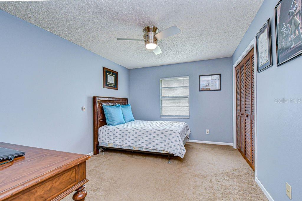 16704 VALLELY DR, TAMPA, FL, 33618
