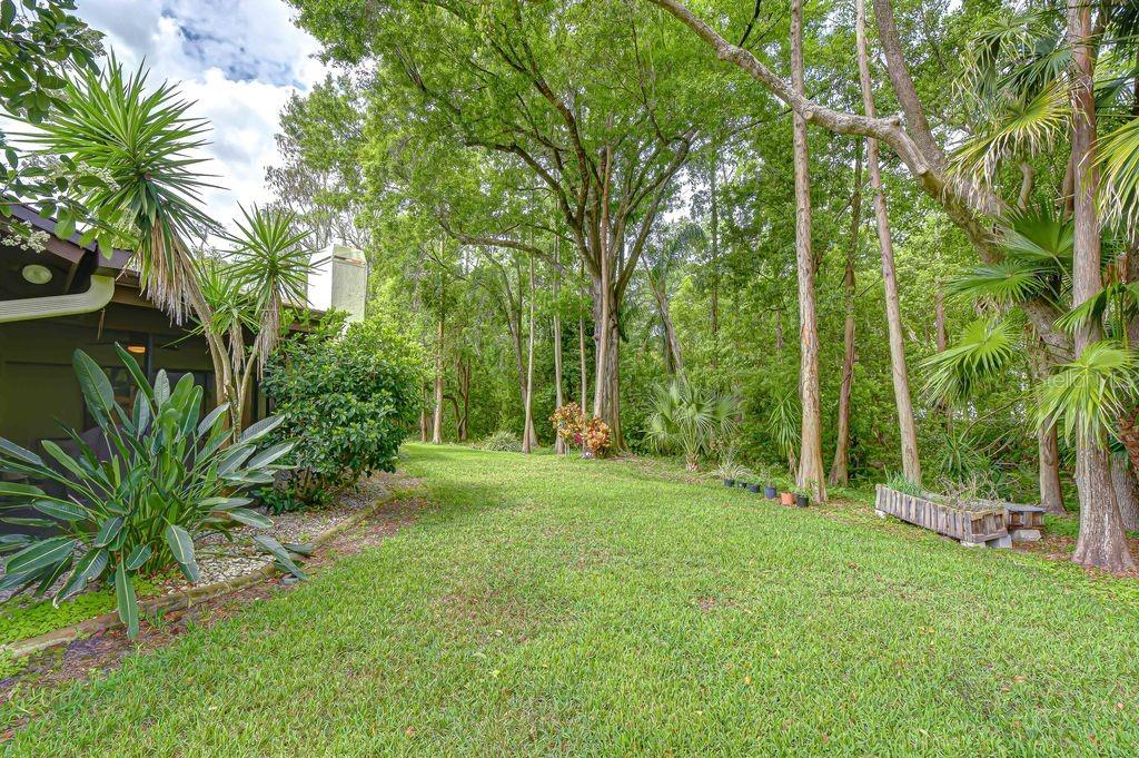 16704 VALLELY DR, TAMPA, FL, 33618