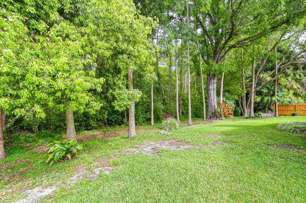 16704 VALLELY DR, TAMPA, FL, 33618