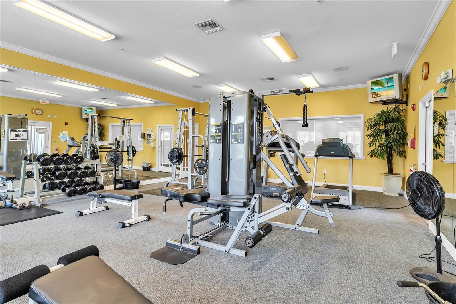 5511 ROSEHILL RD #203, SARASOTA, FL, 34233