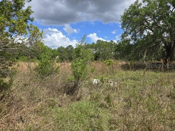 8878 SE 180TH AVENUE RD, OCKLAWAHA, FL, 32179