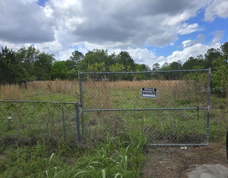 8878 SE 180TH AVENUE RD, OCKLAWAHA, FL, 32179
