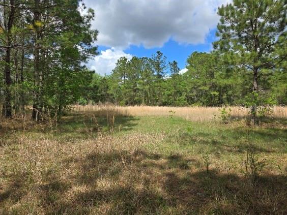 8878 SE 180TH AVENUE RD, OCKLAWAHA, FL, 32179