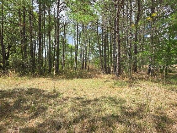 8878 SE 180TH AVENUE RD, OCKLAWAHA, FL, 32179