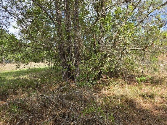 8878 SE 180TH AVENUE RD, OCKLAWAHA, FL, 32179