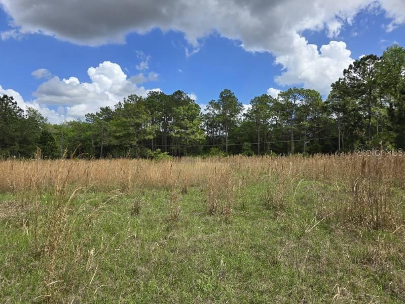 8878 SE 180TH AVENUE RD, OCKLAWAHA, FL, 32179