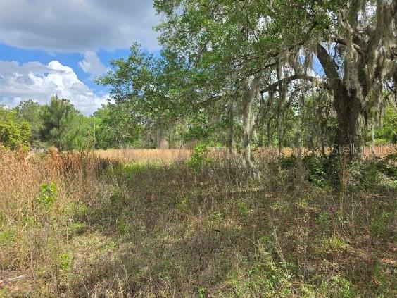 8878 SE 180TH AVENUE RD, OCKLAWAHA, FL, 32179