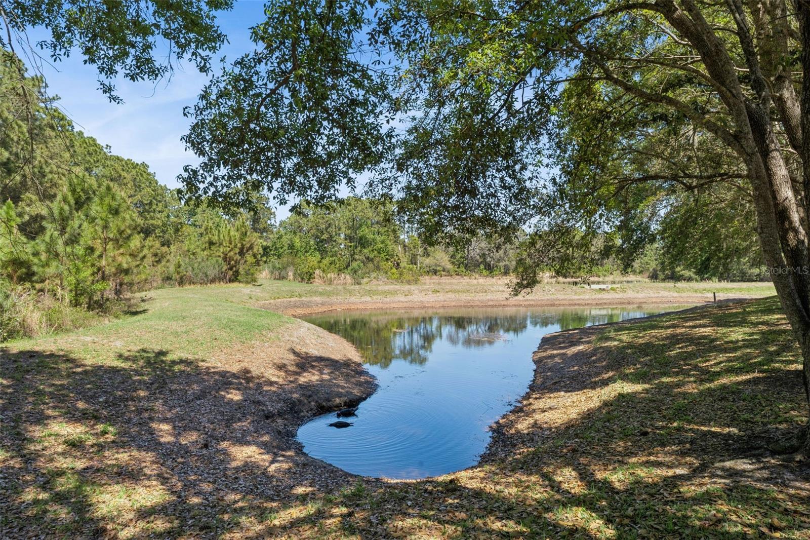 110 ORANGE COSMOS BLVD, DAVENPORT, FL, 33837