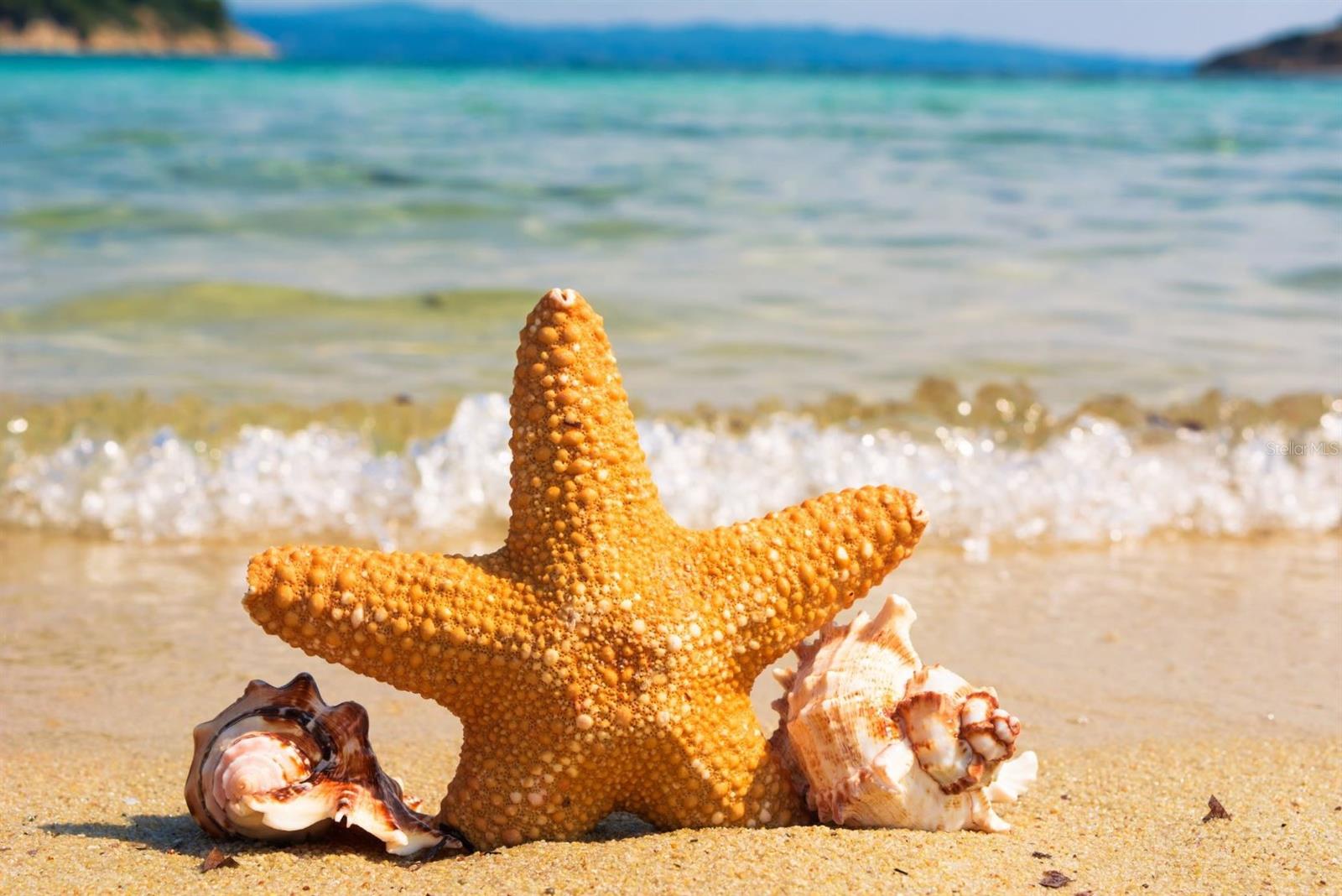 1107 OPAL LN, SUN CITY CENTER, FL, 33573