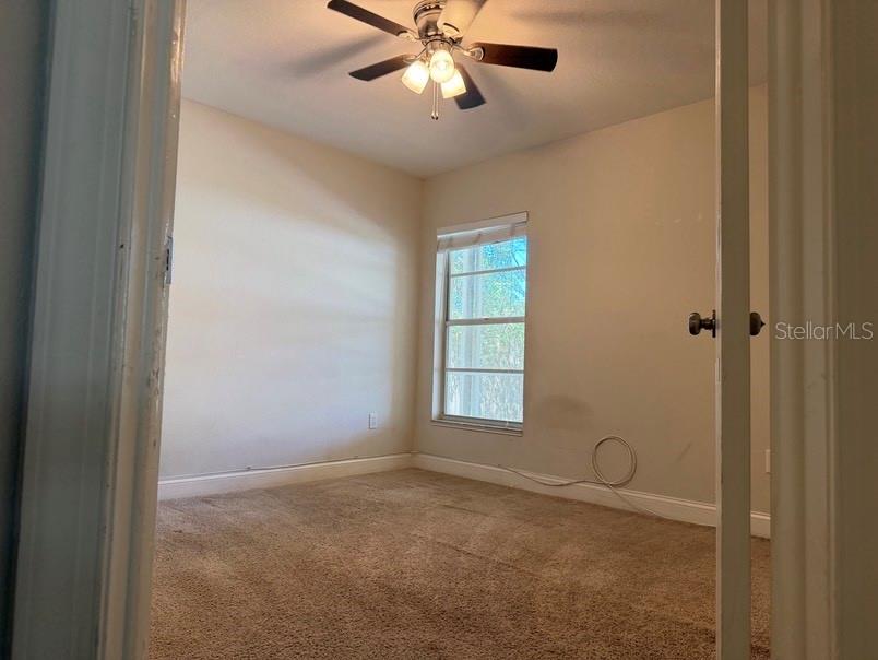 8753 HAMPDEN DR, TAMPA, FL, 33626