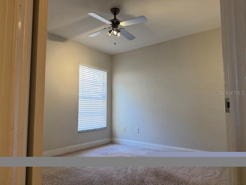 8753 HAMPDEN DR, TAMPA, FL, 33626