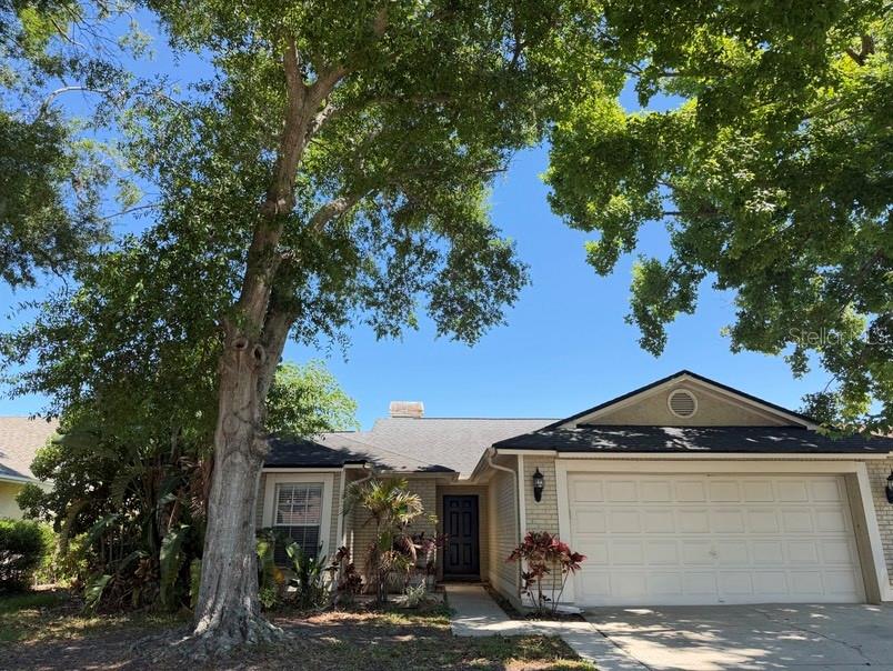 8753 HAMPDEN DR, TAMPA, FL, 33626