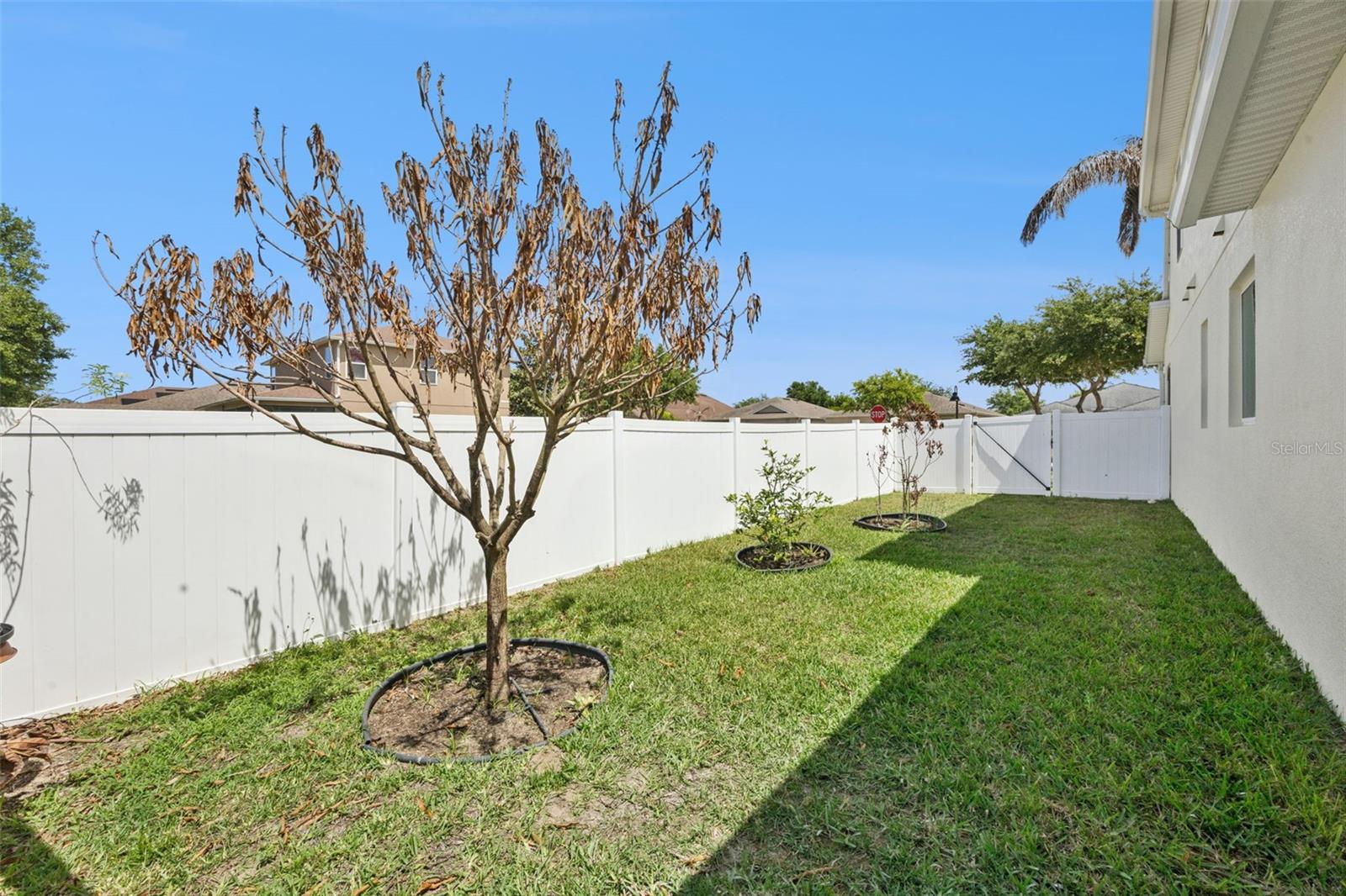 3177 BAYOU LN, TAVARES, FL, 32778