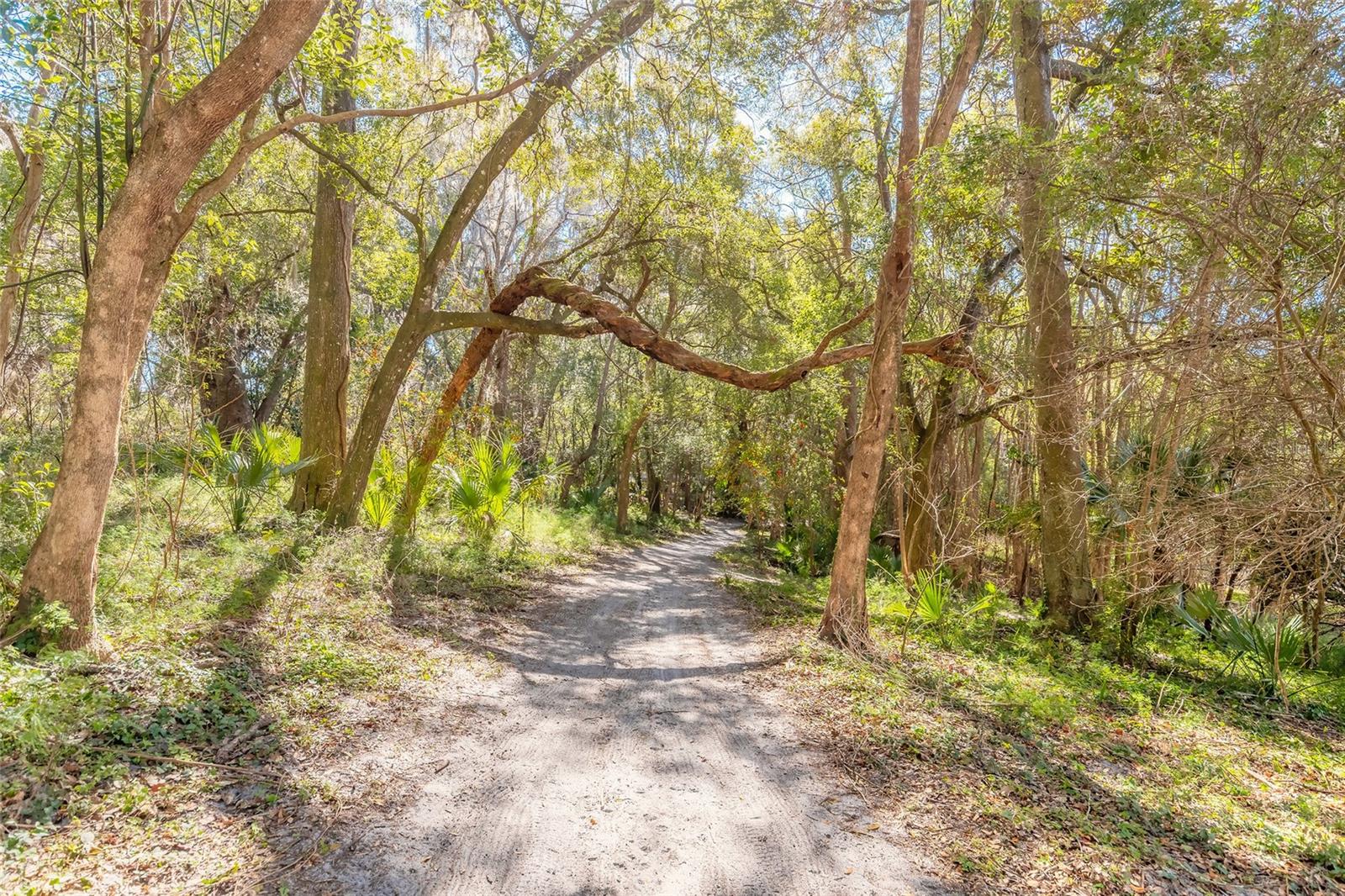 2090 & 2095 STONE RD, DELAND, FL, 32720