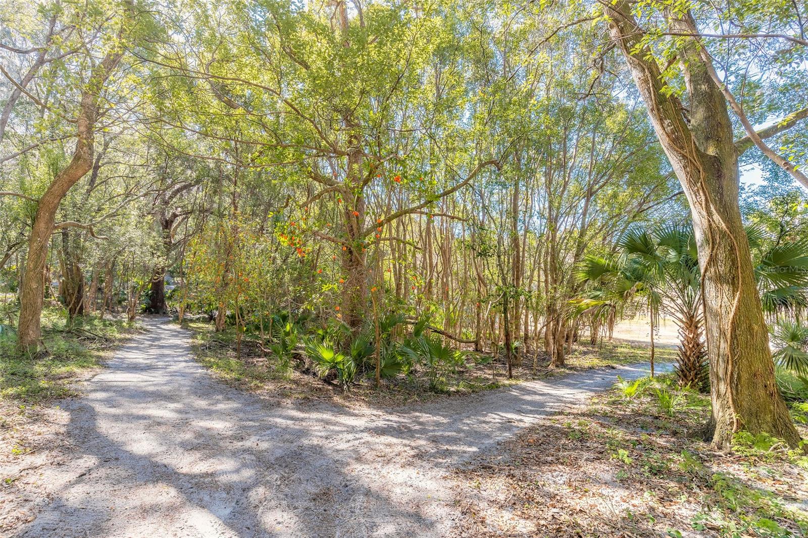 2090 & 2095 STONE RD, DELAND, FL, 32720