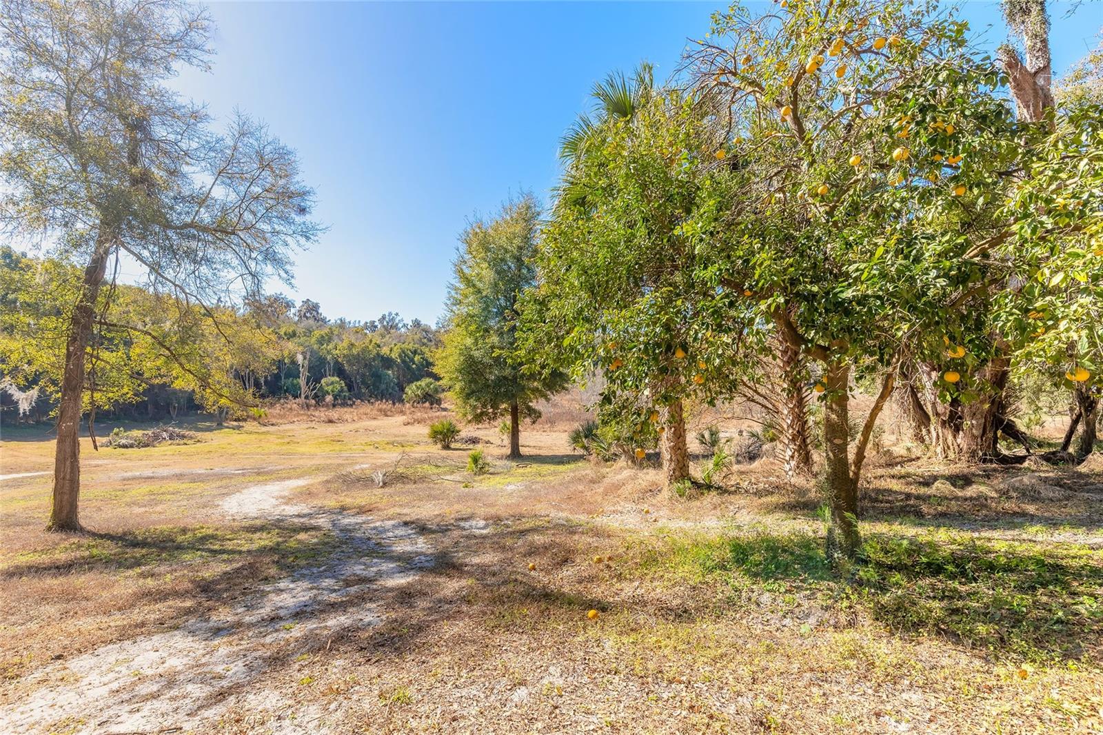 2090 & 2095 STONE RD, DELAND, FL, 32720