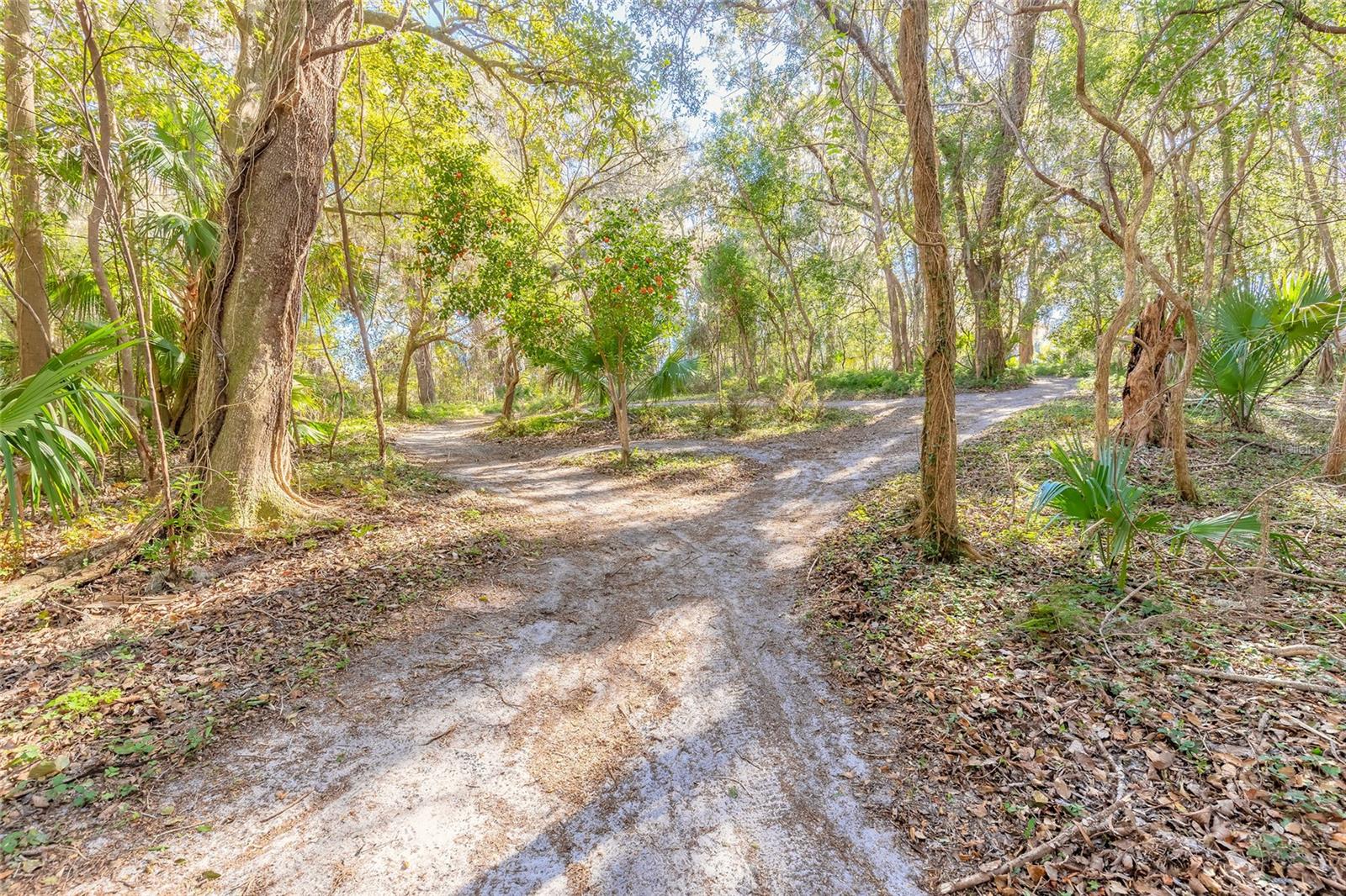2090 & 2095 STONE RD, DELAND, FL, 32720