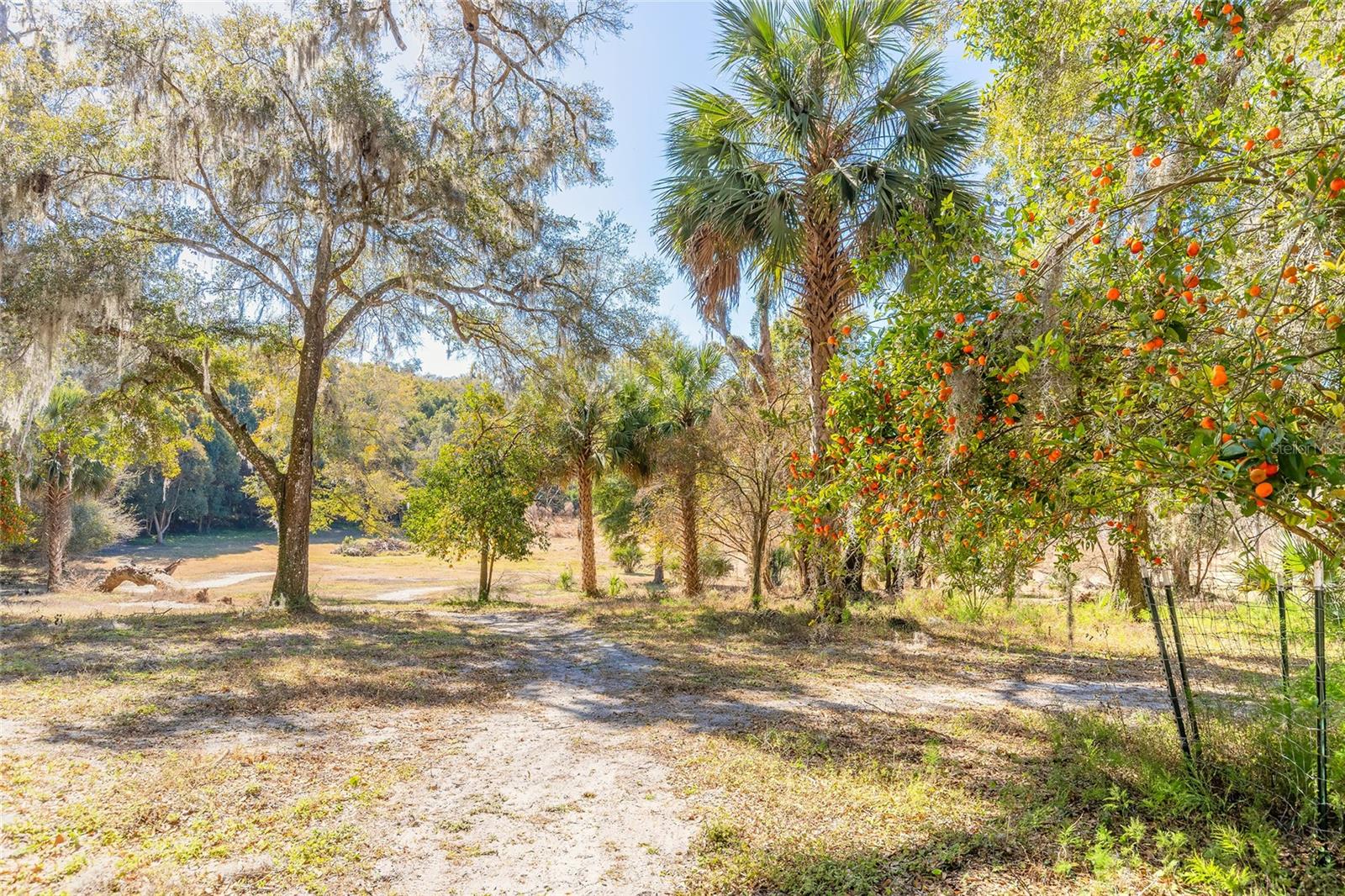 2090 & 2095 STONE RD, DELAND, FL, 32720