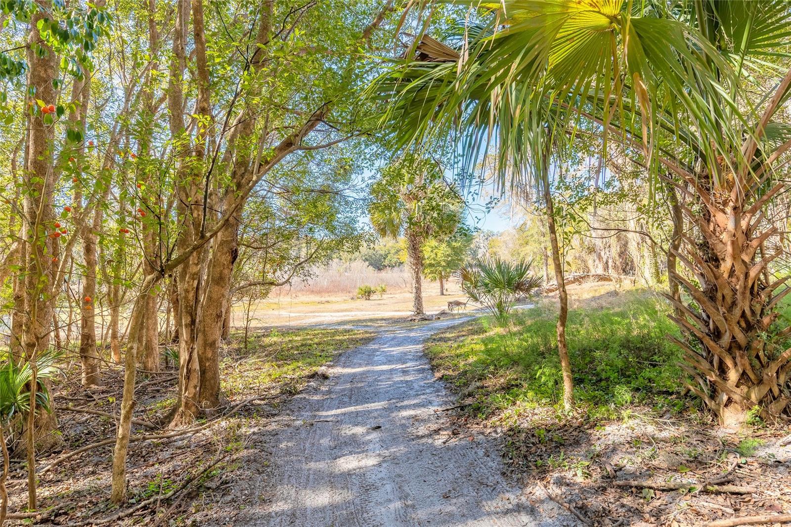 2090 & 2095 STONE RD, DELAND, FL, 32720