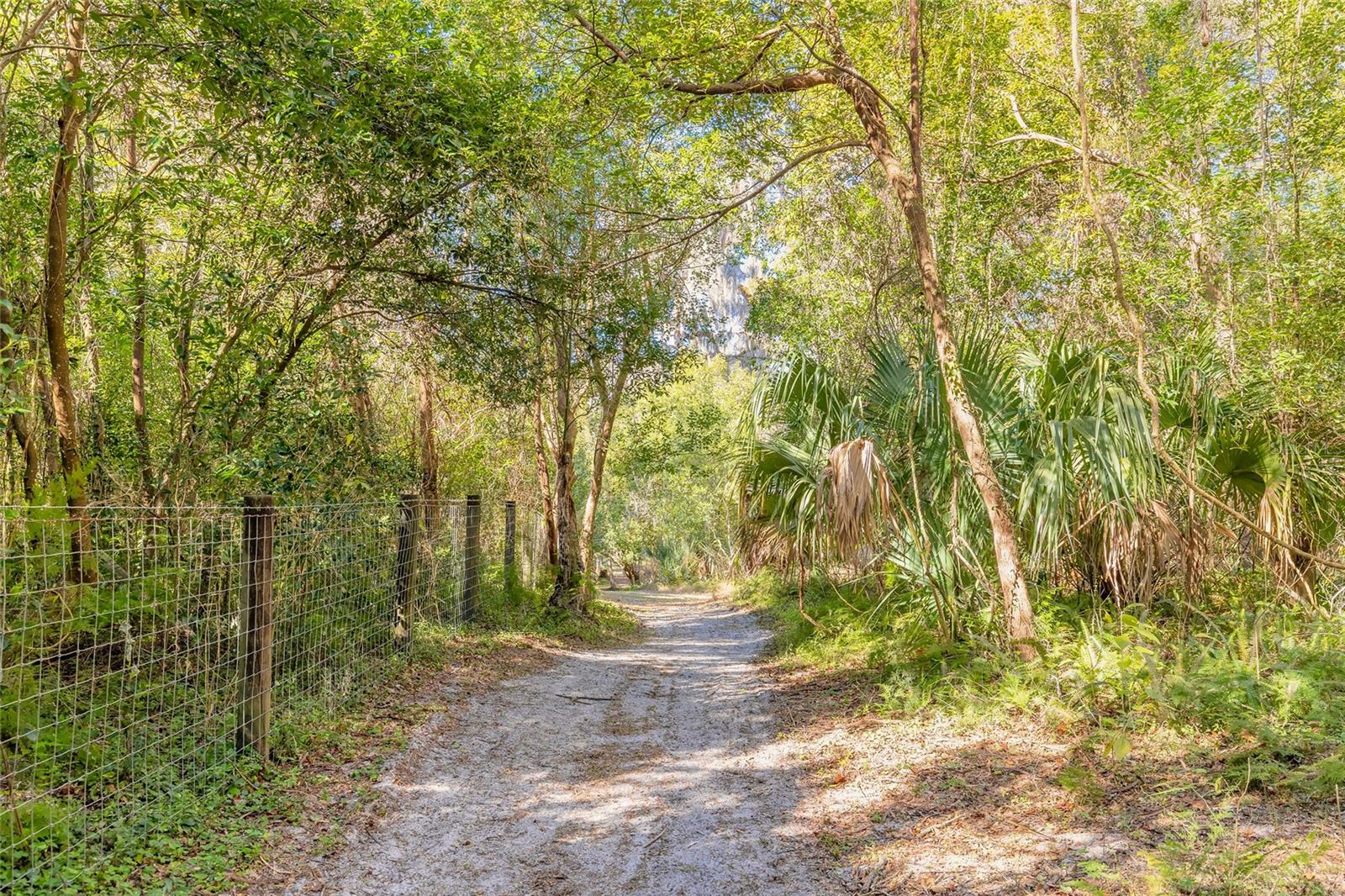 2090 & 2095 STONE RD, DELAND, FL, 32720