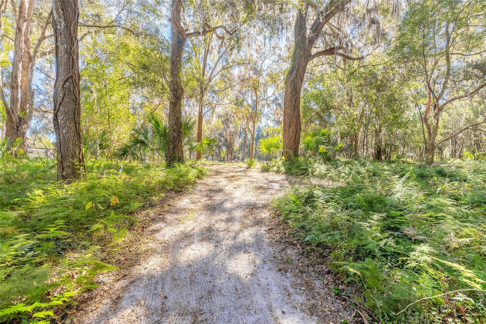 2090 & 2095 STONE RD, DELAND, FL, 32720