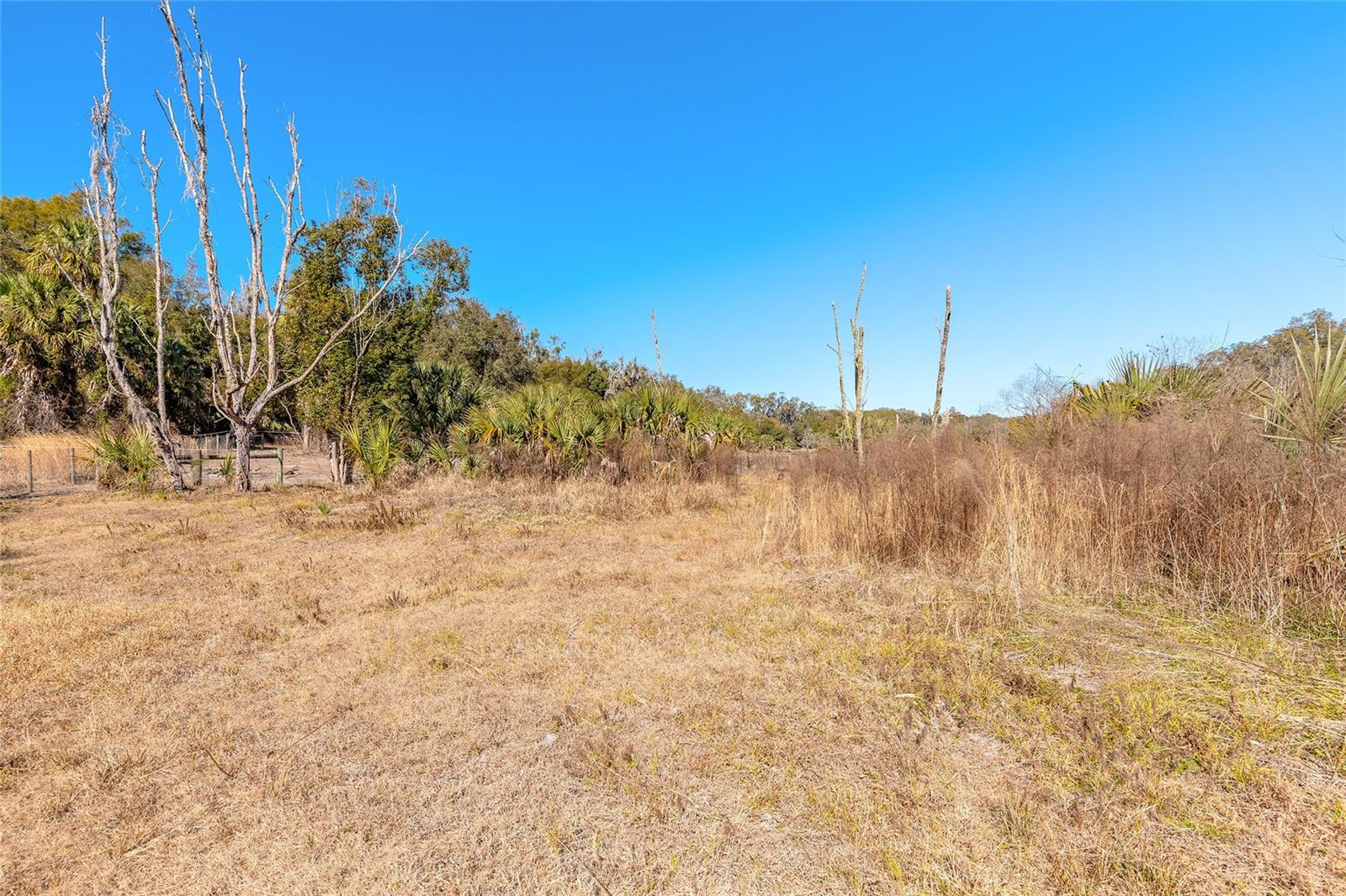 2090 & 2095 STONE RD, DELAND, FL, 32720