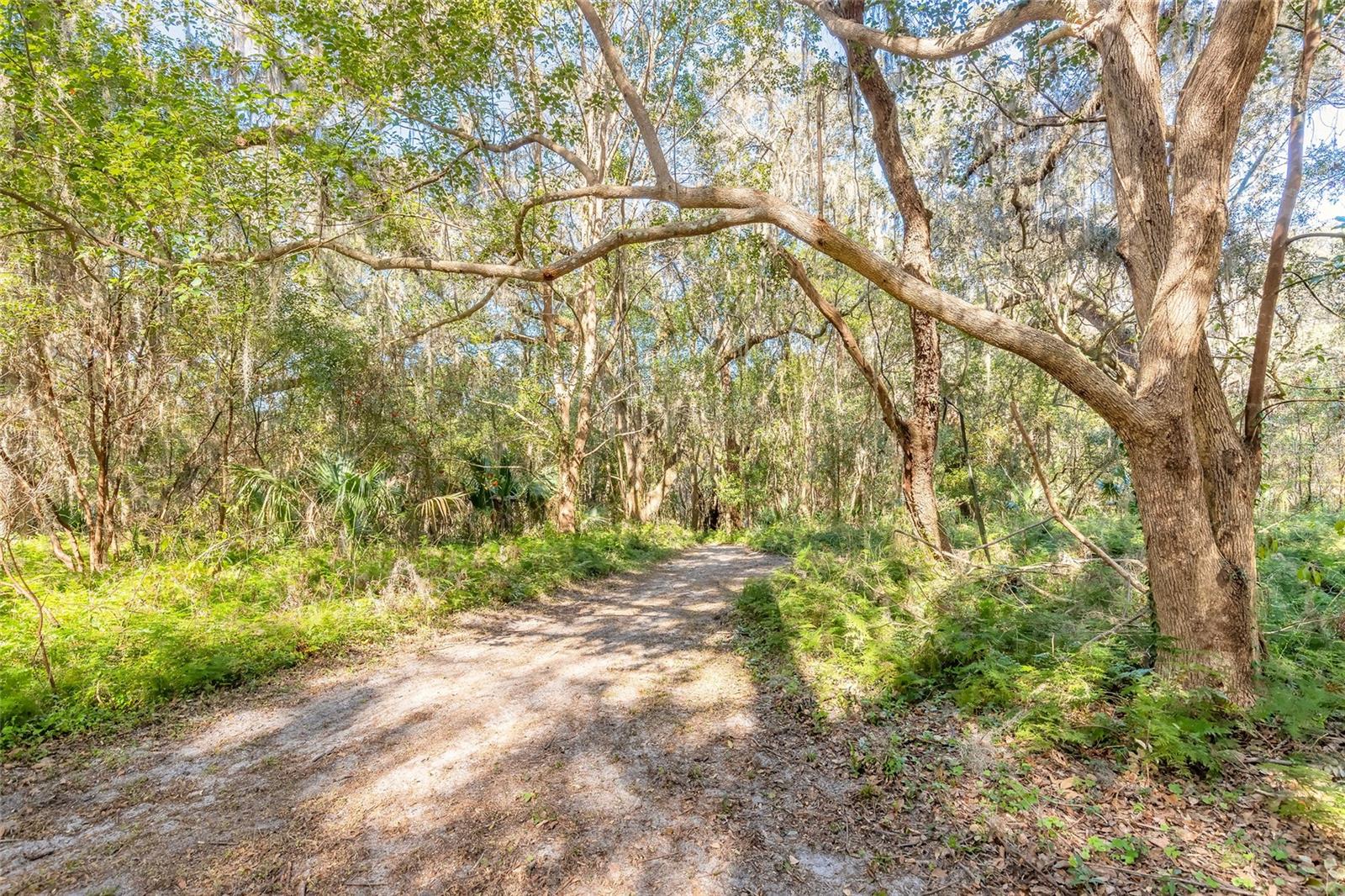 2090 & 2095 STONE RD, DELAND, FL, 32720