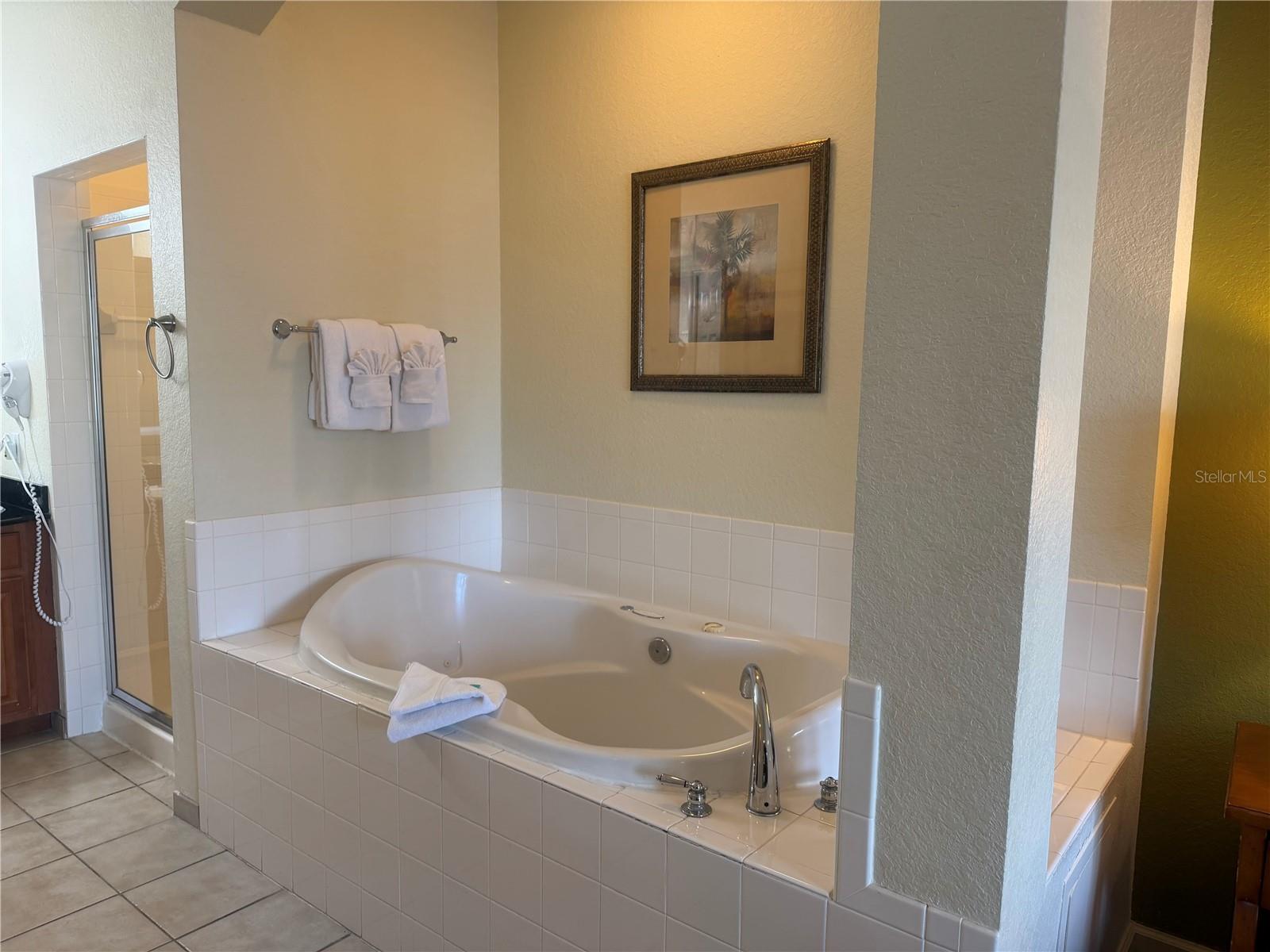 8100 POINCIANA BLVD #2106, ORLANDO, FL, 32821