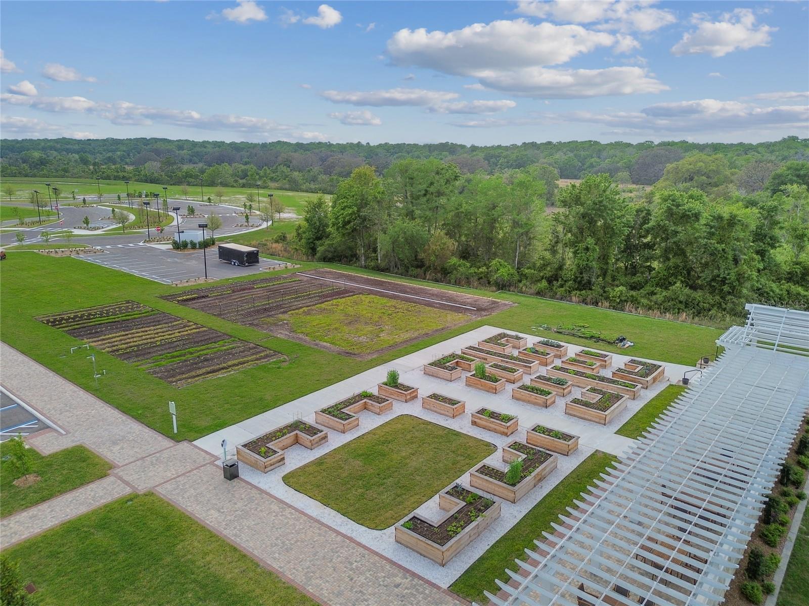 10065 GENTLE RAIN DR, LAND O LAKES, FL, 34638