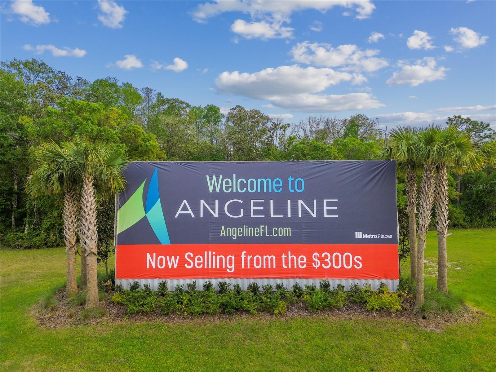 10065 GENTLE RAIN DR, LAND O LAKES, FL, 34638