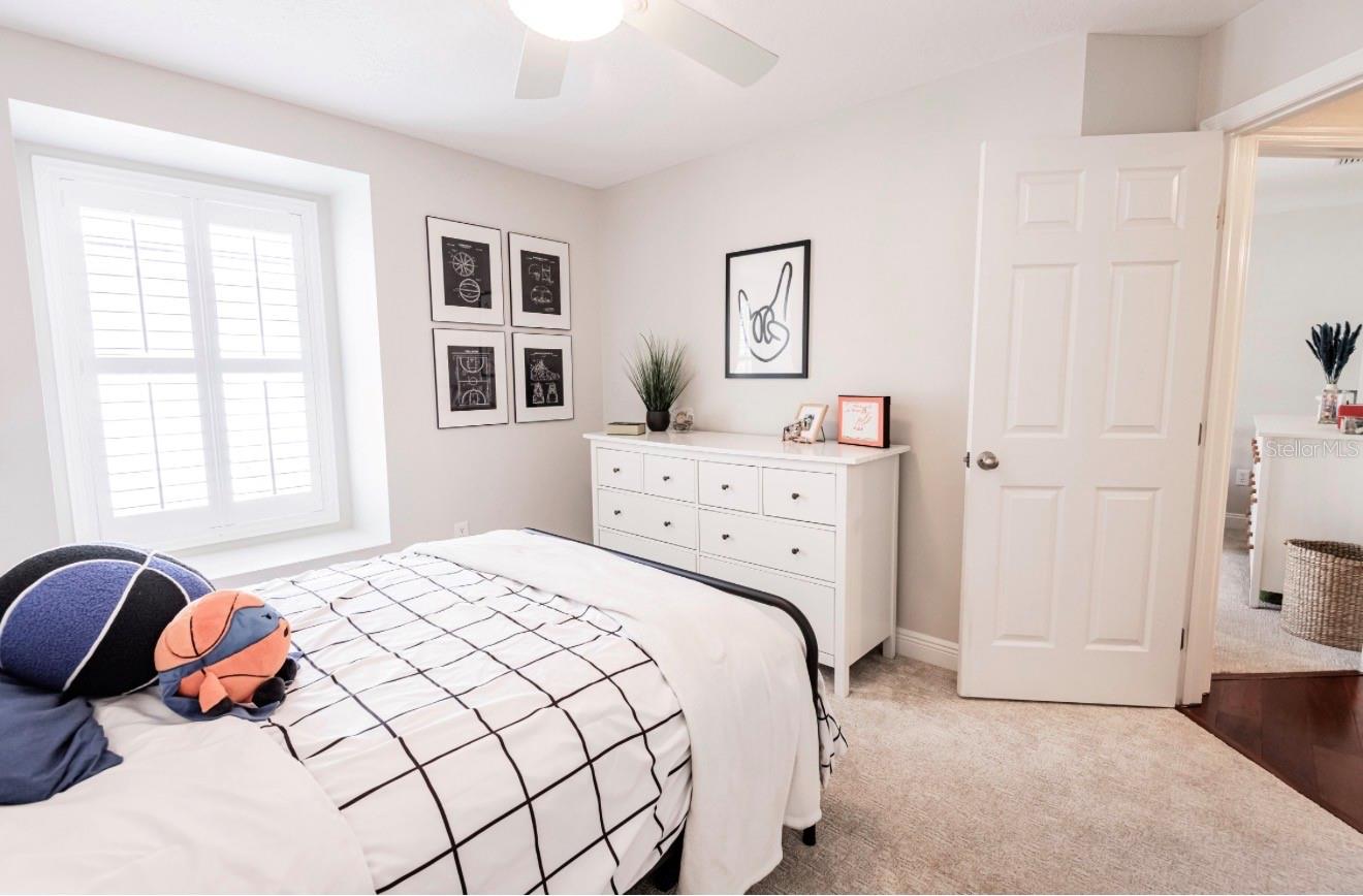 17803 HICKORY MOSS PL, TAMPA, FL, 33647