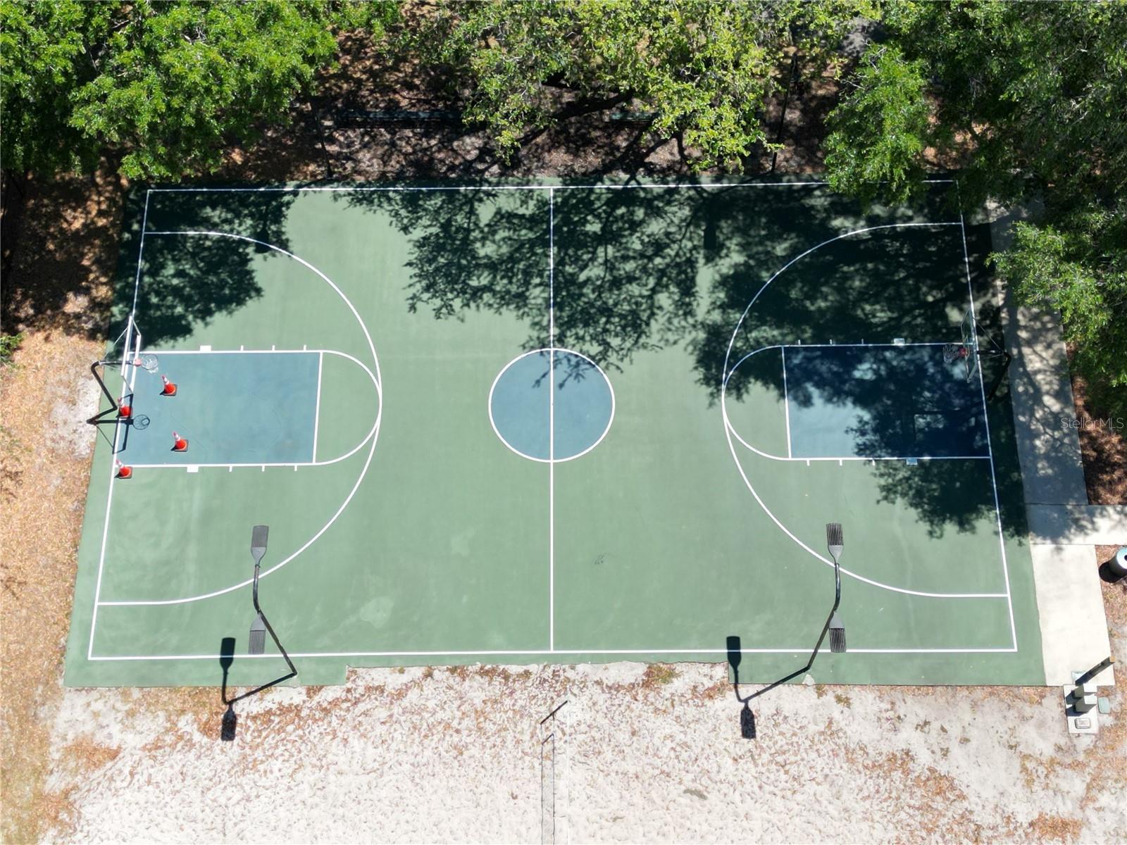 17803 HICKORY MOSS PL, TAMPA, FL, 33647