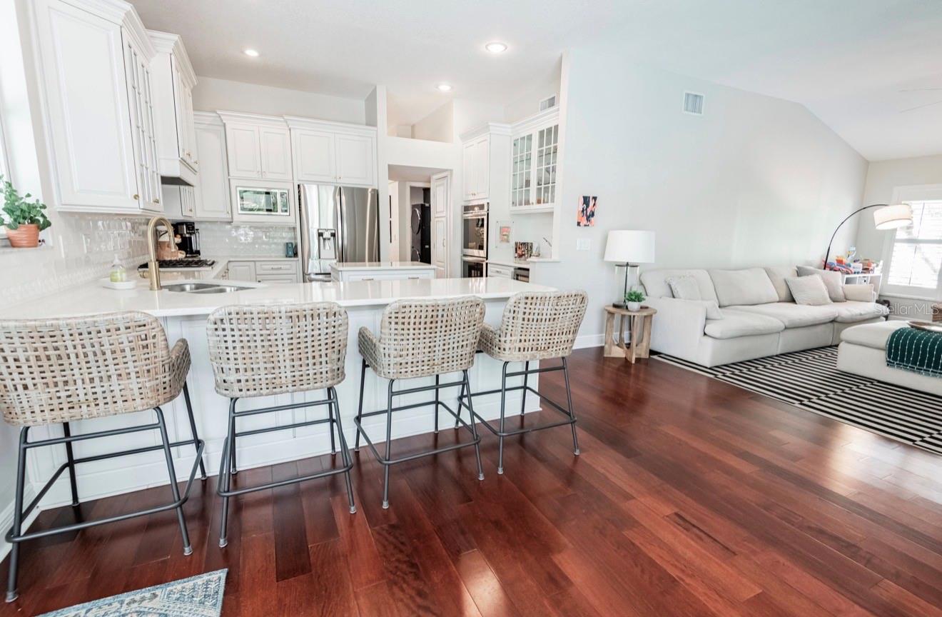 17803 HICKORY MOSS PL, TAMPA, FL, 33647