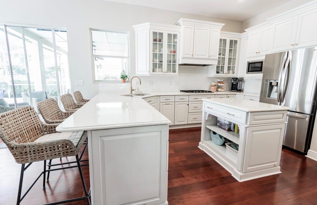 17803 HICKORY MOSS PL, TAMPA, FL, 33647