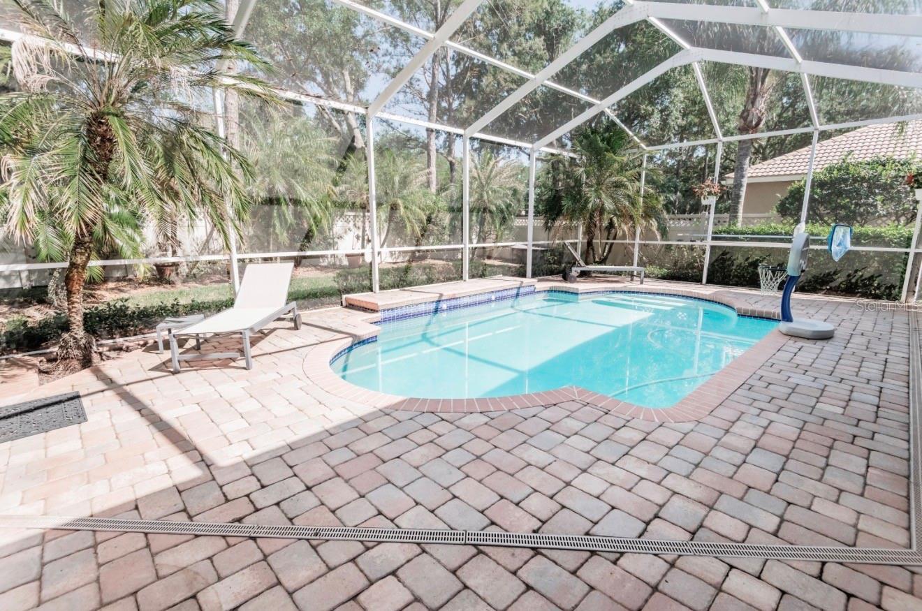 17803 HICKORY MOSS PL, TAMPA, FL, 33647