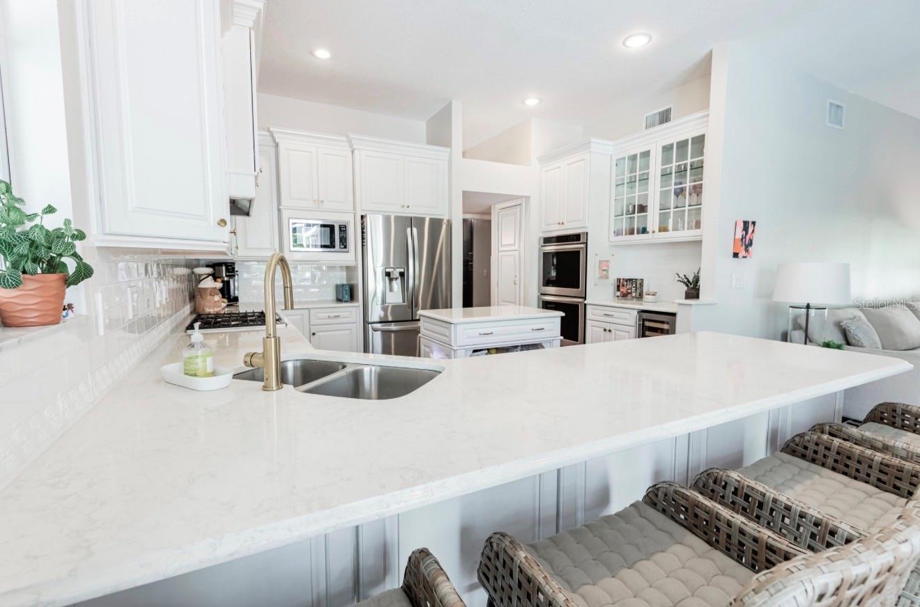 17803 HICKORY MOSS PL, TAMPA, FL, 33647