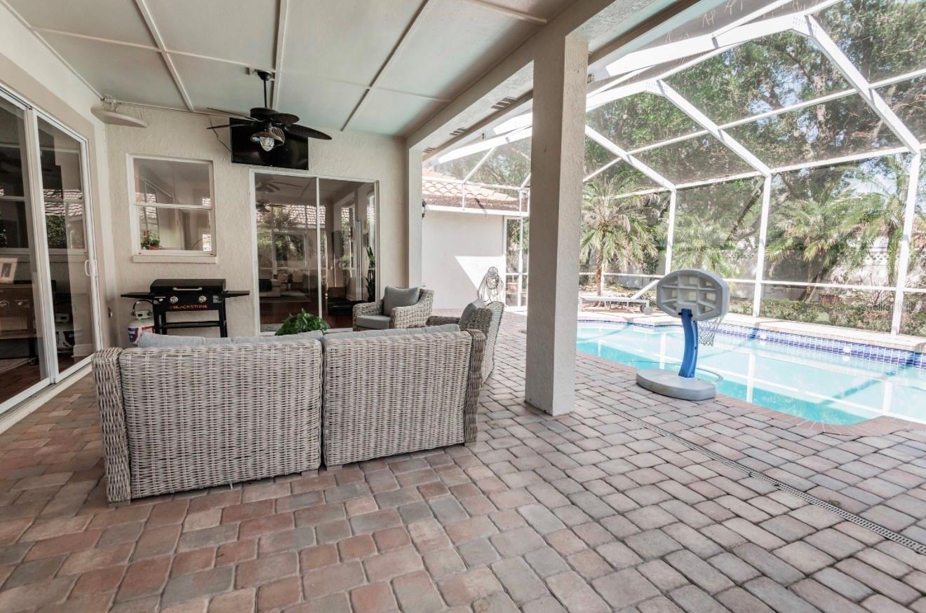 17803 HICKORY MOSS PL, TAMPA, FL, 33647