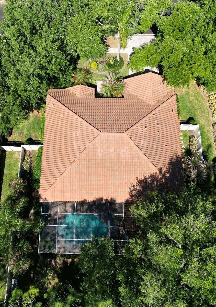 17803 HICKORY MOSS PL, TAMPA, FL, 33647