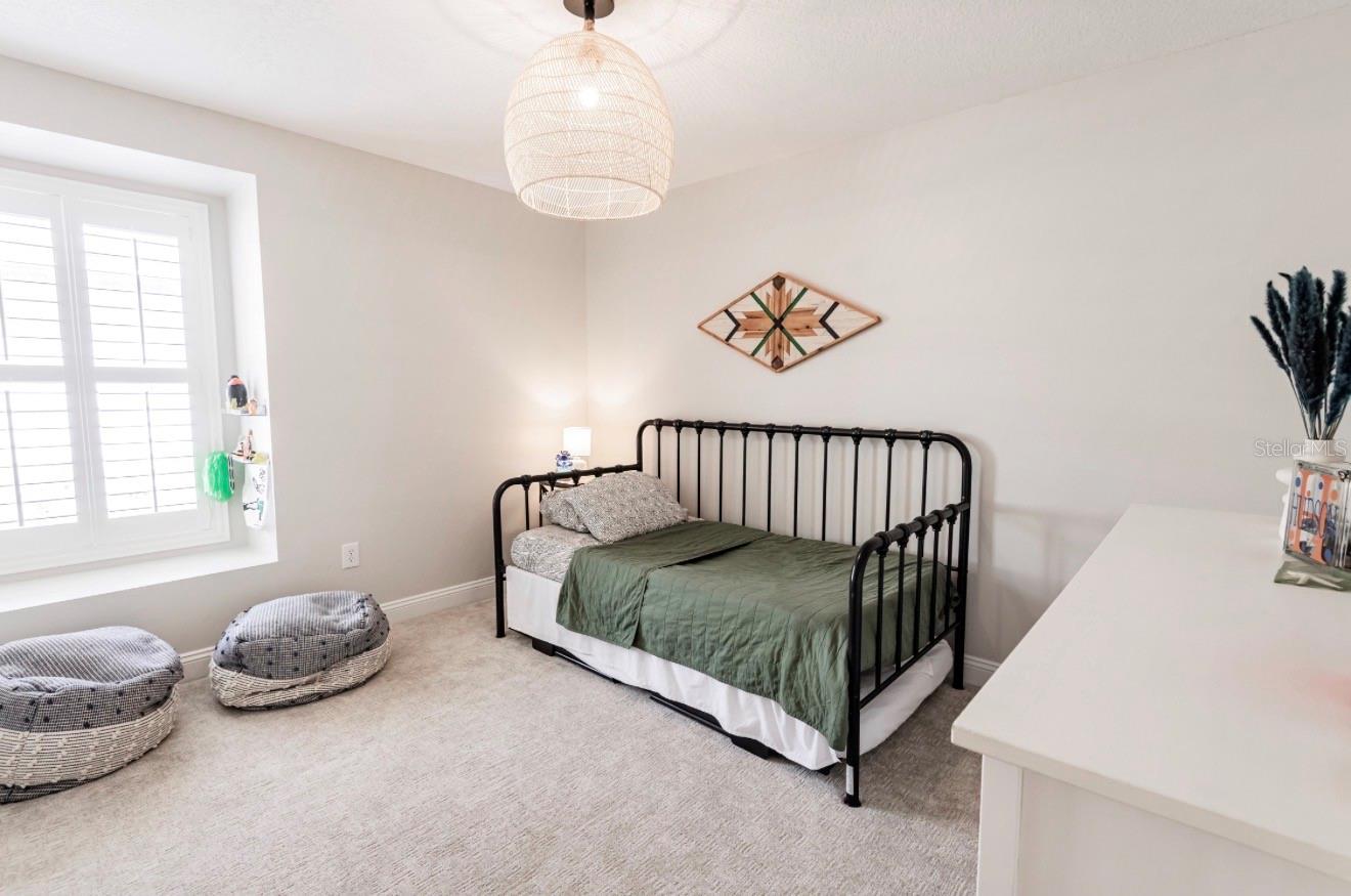 17803 HICKORY MOSS PL, TAMPA, FL, 33647