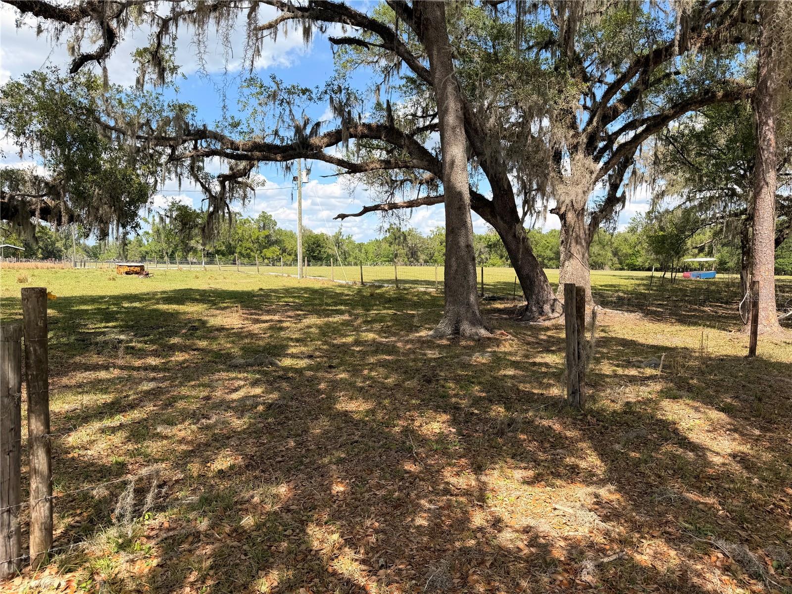 20512 RAMER RD, DADE CITY, FL, 33523