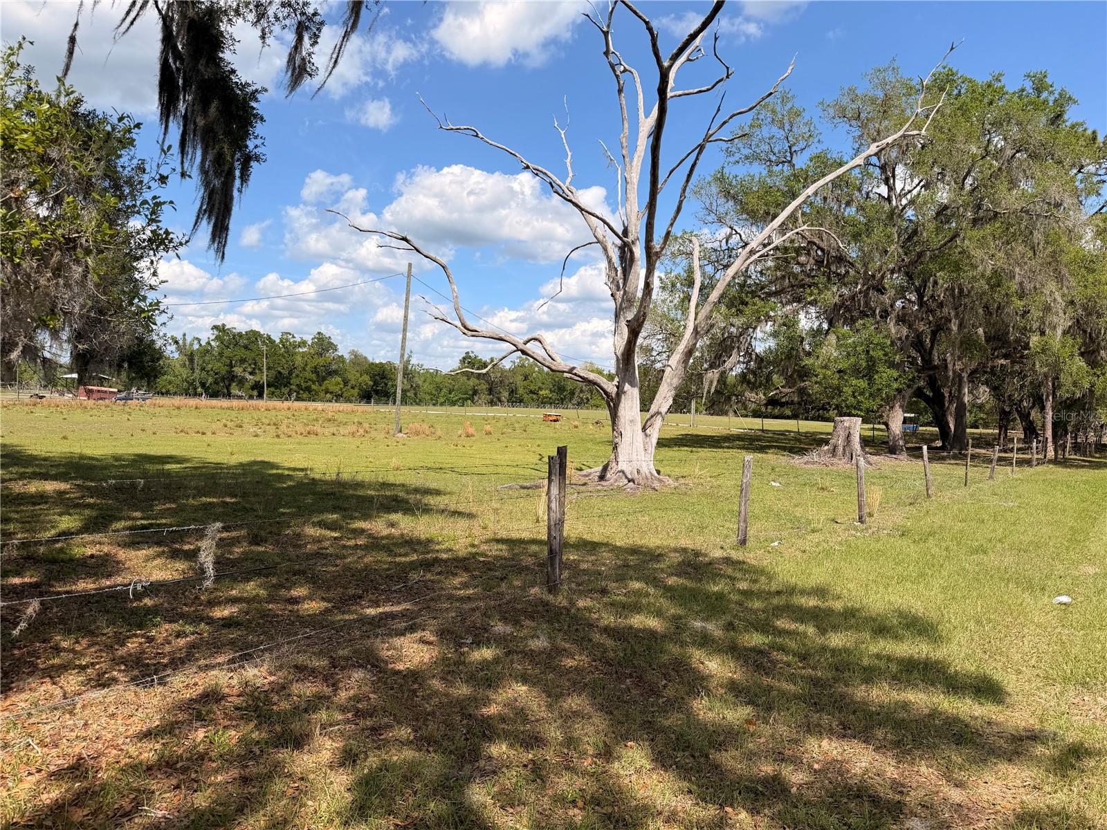 20512 RAMER RD, DADE CITY, FL, 33523