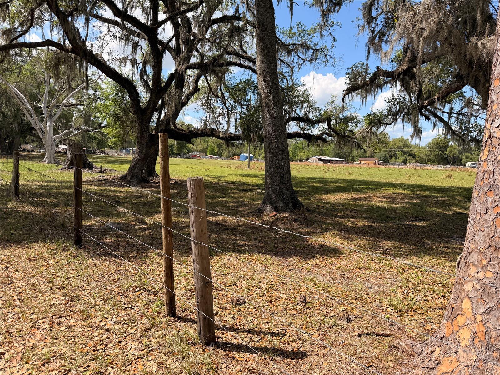 20512 RAMER RD, DADE CITY, FL, 33523