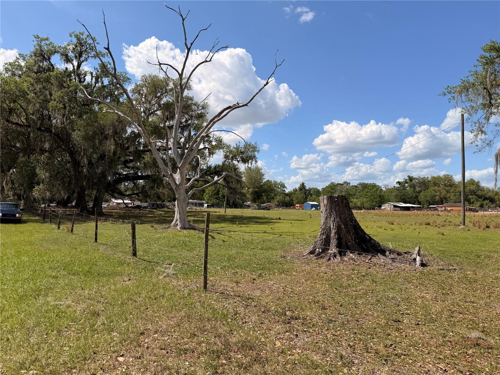 20512 RAMER RD, DADE CITY, FL, 33523