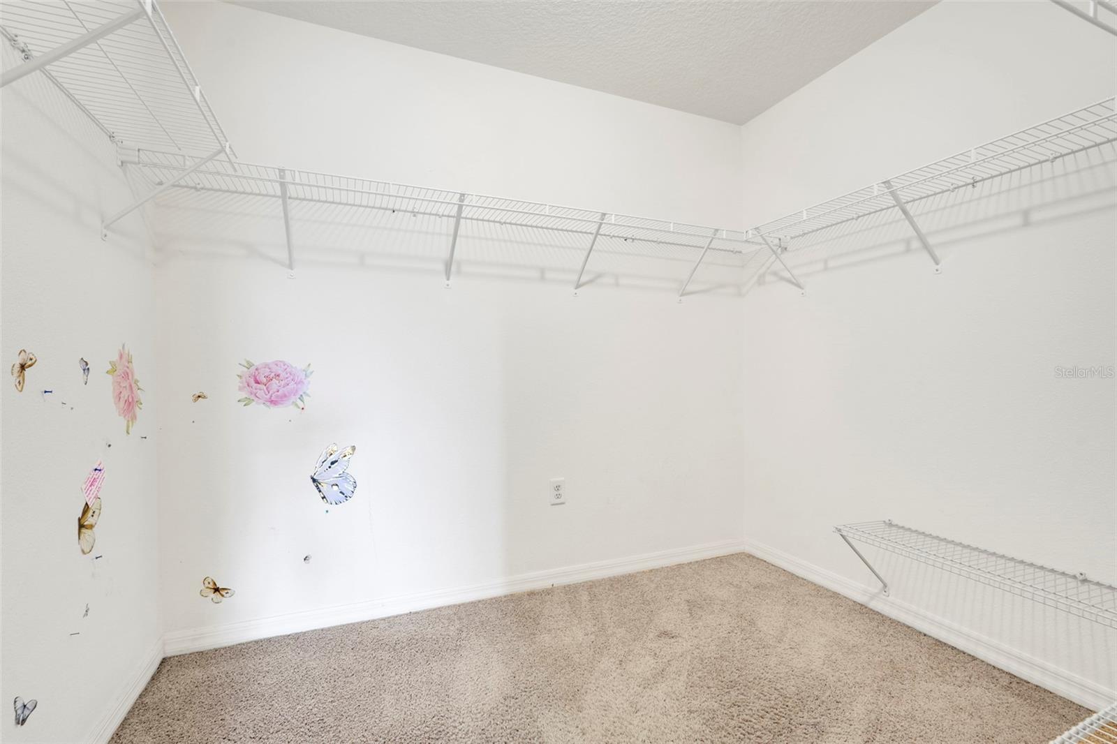 910 ASPEN VIEW CIR, GROVELAND, FL, 34736