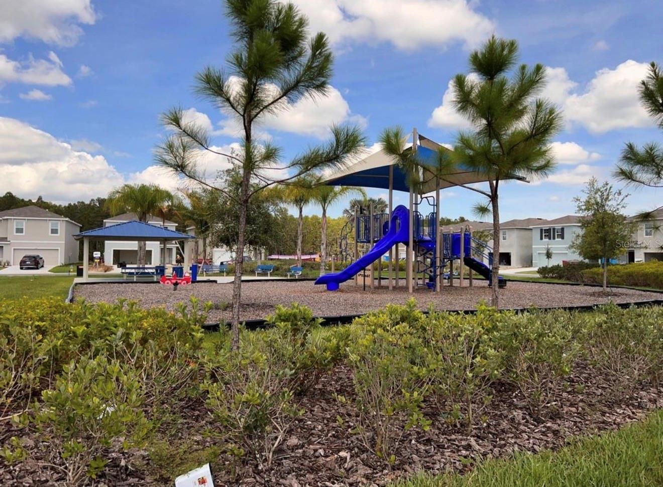 3379 SUNCOAST PLAINS DR, ODESSA, FL, 33556