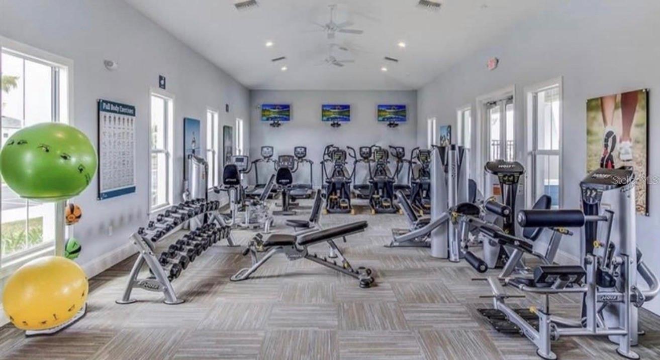 3379 SUNCOAST PLAINS DR, ODESSA, FL, 33556