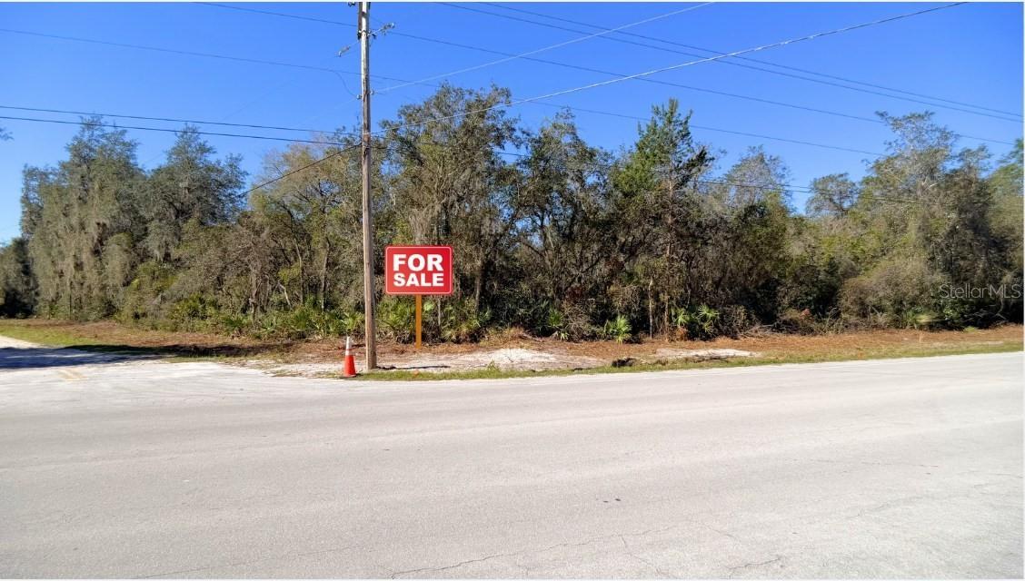 TBD CORNER LOT 175TH STREET RD NE, CITRA, FL, 32113