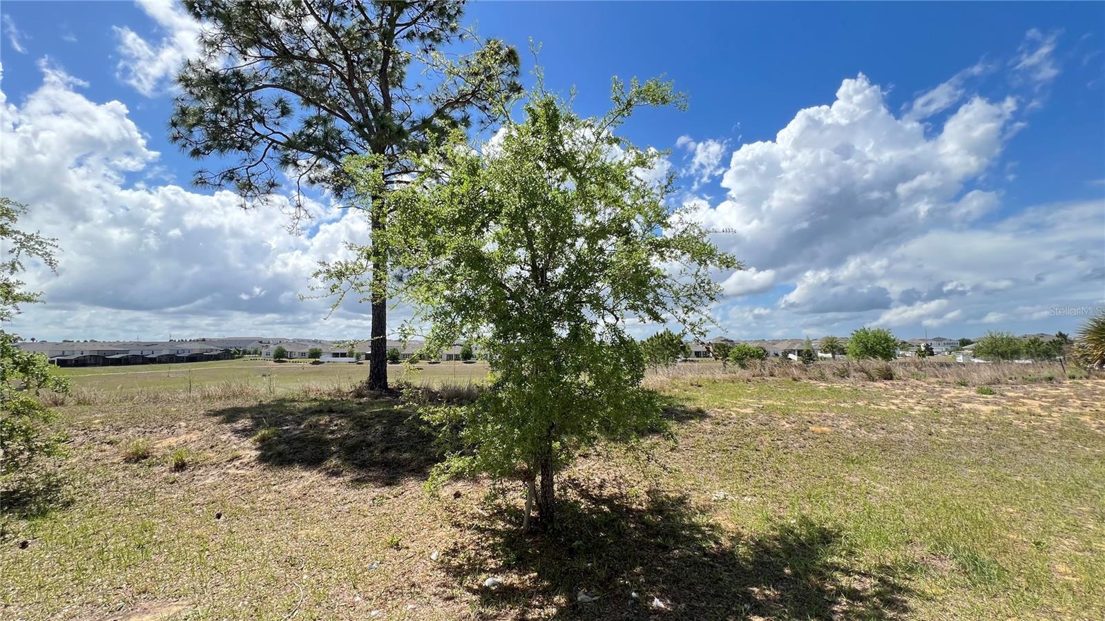 2440 WHITE POPPY DR, KISSIMMEE, FL, 34747