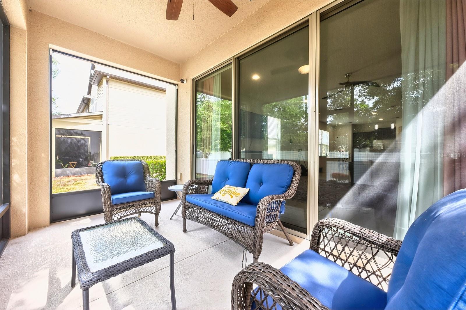 1096 PAVIA DR, APOPKA, FL, 32703